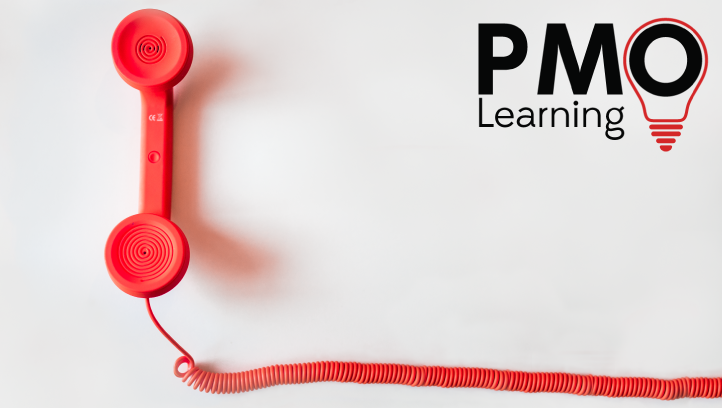 PMO Coaching and Mentoring