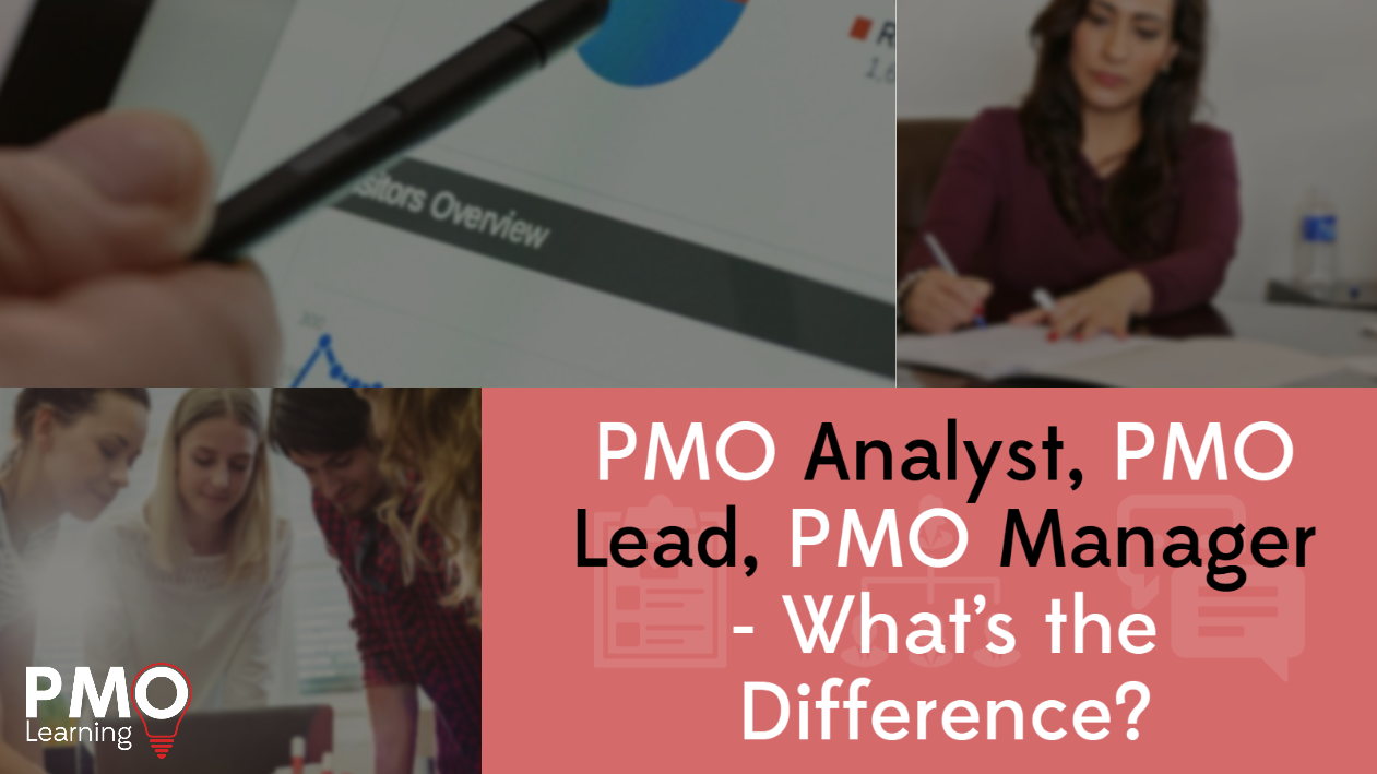 What is the difference between PMO and PMO lead?