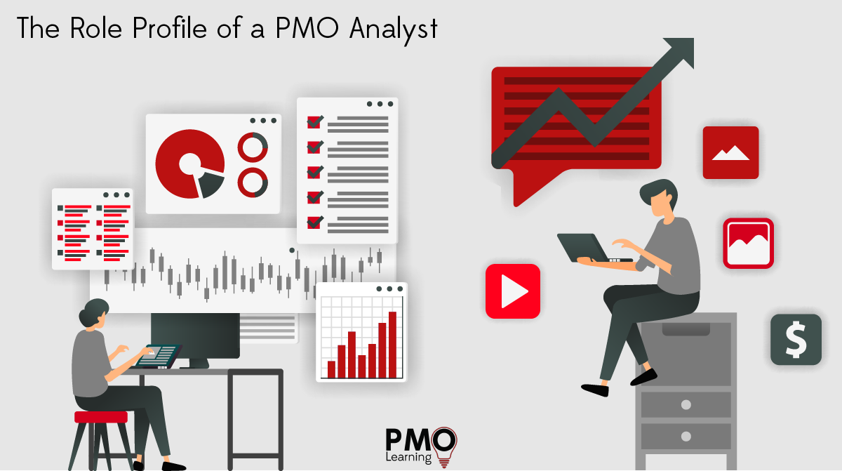 The Role Profile of a PMO Analyst
