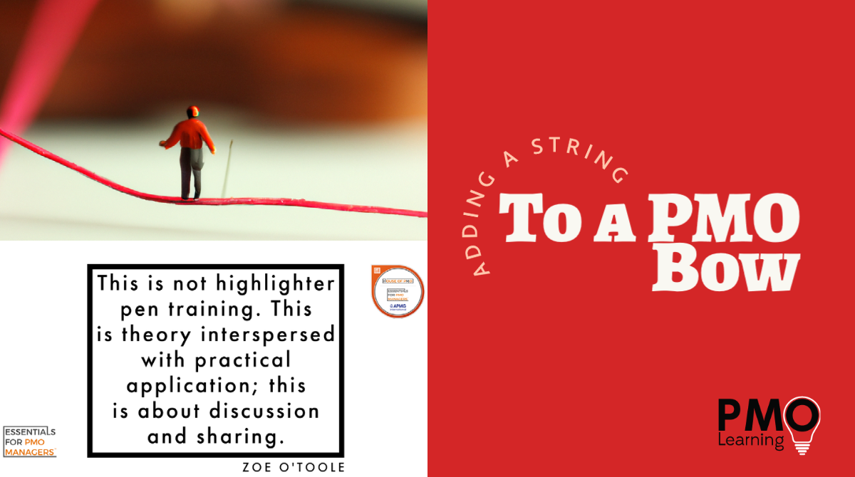 Adding Another Skill to the PMO Bow – Training!