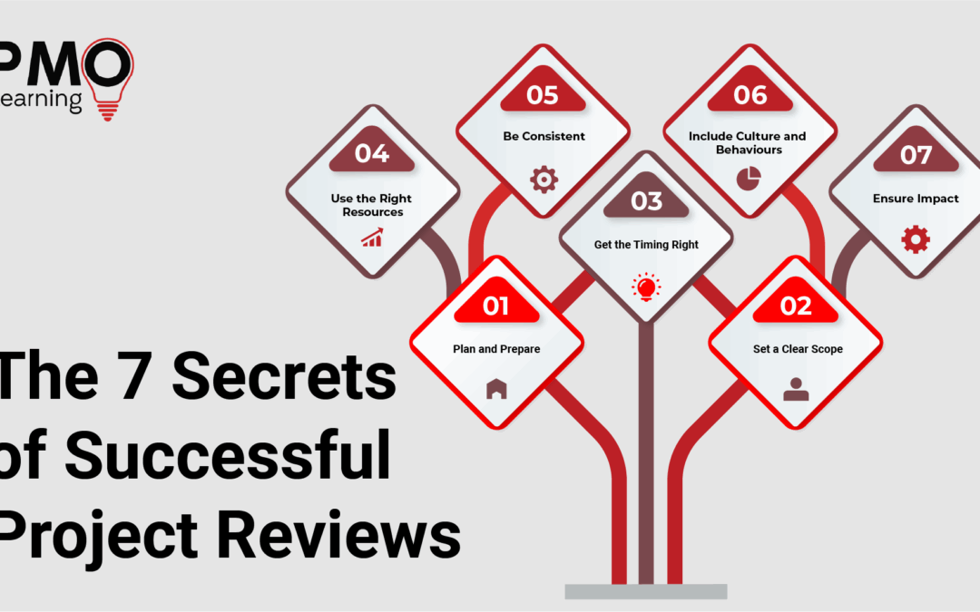 The 7 Secrets of Successful Project Reviews
